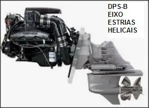 DPS B