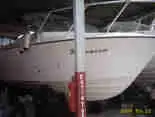 IMAGE0024 car26andrexxx