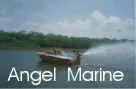 paggal12x