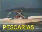 pagit311